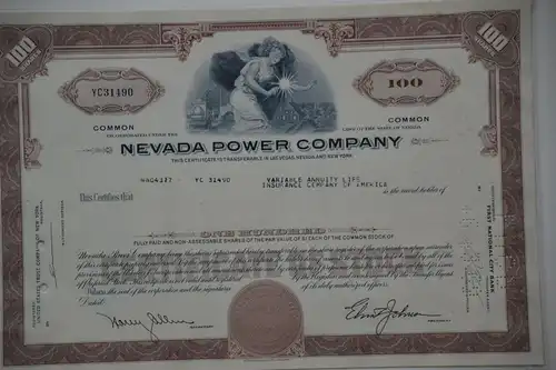 Aktie, Nevada Power Company , 100 Shares, USA