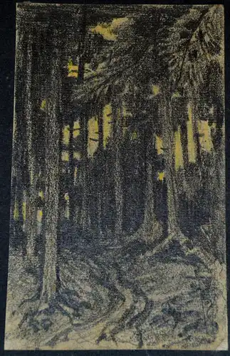 Bleistiftzeichnung,Hans Stadelmann,1906, Waldlichtung