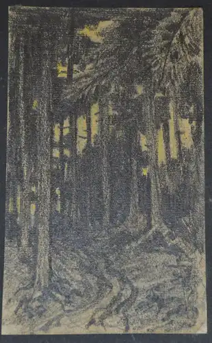 Bleistiftzeichnung,Hans Stadelmann,1906, Waldlichtung