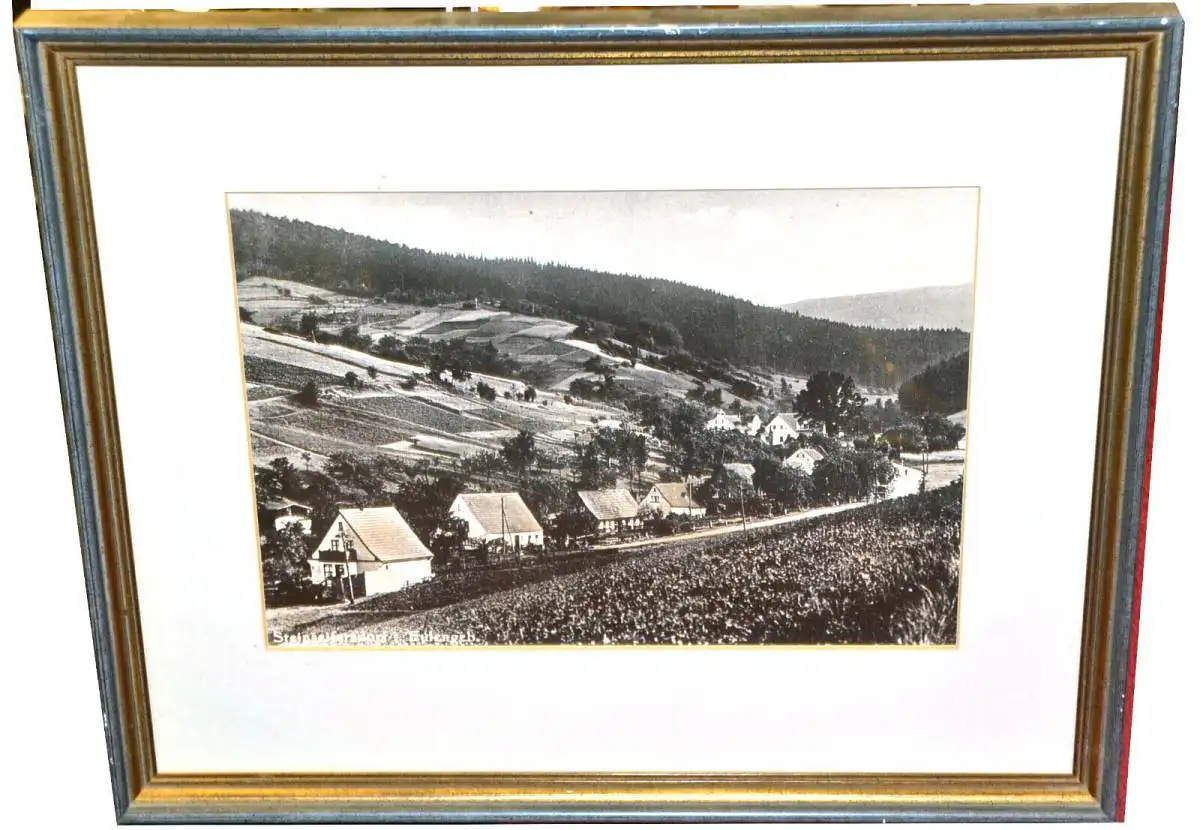 Fotografie,S/W,gerahmt, Eulengebirge,Steinseiferdorf,Schlesien/Polen,1930