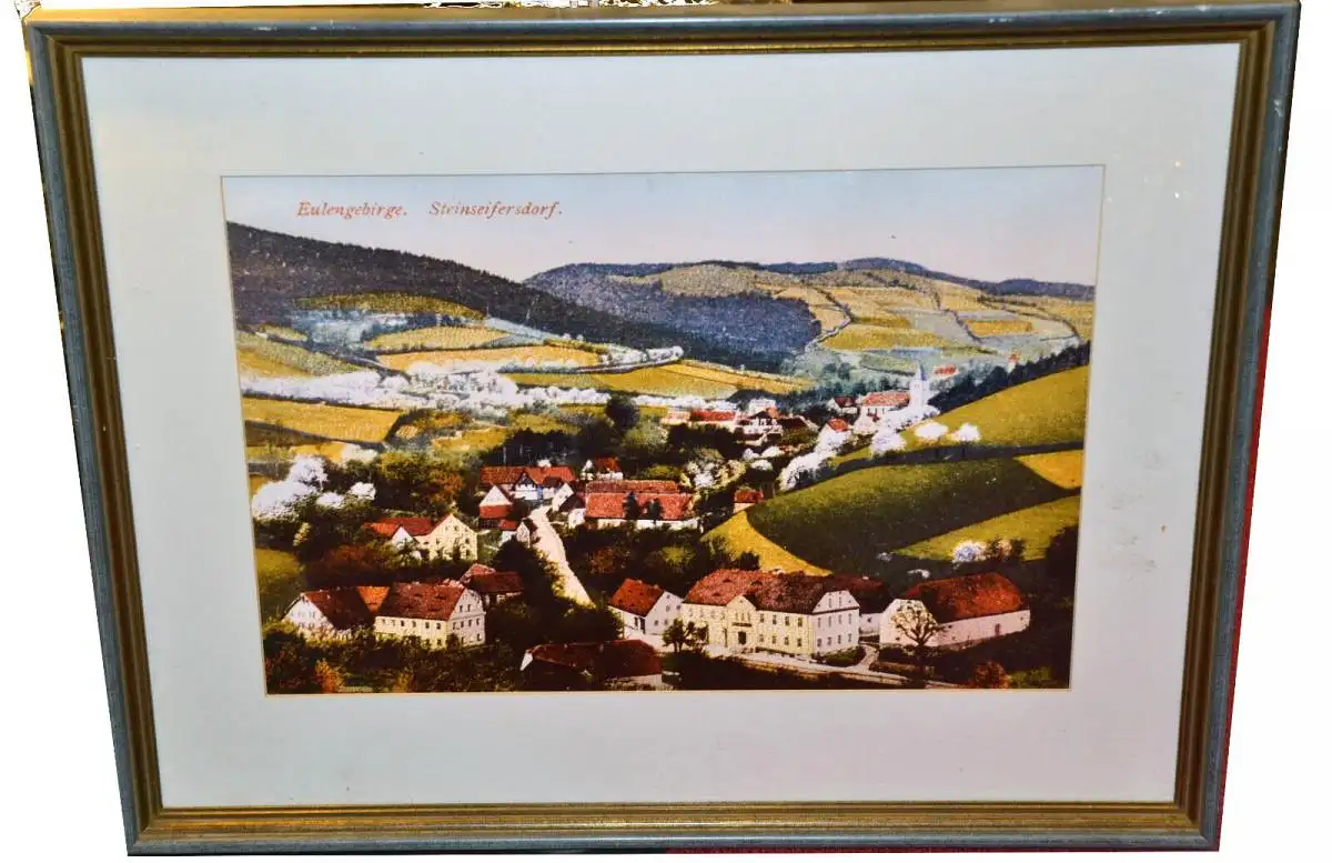 Fotografie,koloriert,gerahmt, Eulengebirge,Steinseiferdorf,Schlesien/Polen,1930