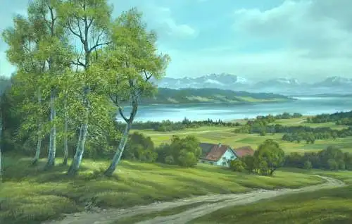 Gemälde, Öl auf Leinwand, Landschaft, Blick a.d. Starnbergersee,sign.Hans Dürr