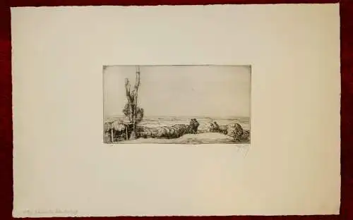 Radierung, Fränkische Landschaft, sign.Opitz,(Olpitz)ca.1900