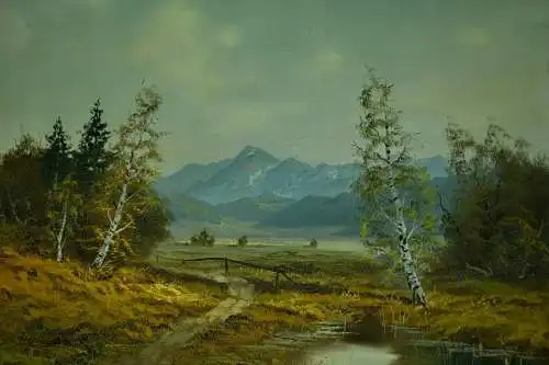 Gemälde,Öl a.Leinwand, Voralpenlandschaft,sign. : Schuster ??