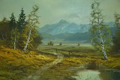 Gemälde,Öl a.Leinwand, Voralpenlandschaft,sign. : Schuster ??