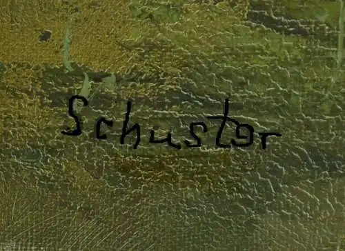 Gemälde,Öl a.Leinwand, Voralpenlandschaft,sign. : Schuster ??