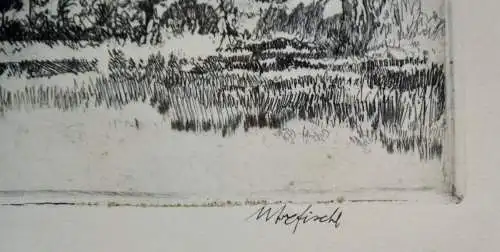 Radierung,Franz Xaver Fischl, Landschaft mit Bäumen,20.Jhdt.signiert+gerahmt