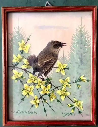 Kleiner Vogel auf blühendem Zweig – Aquarell signiert, datiert 1955, gerahmt