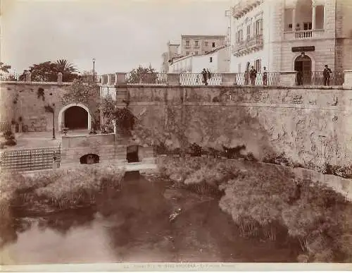 Fotografie, Fr. Alinari,Siracusa, La Fontana Aretusa, #19782 ca 1910