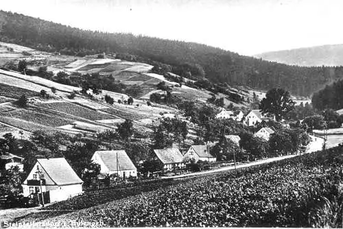 Fotografie,S/W,gerahmt, Eulengebirge,Steinseiferdorf,Schlesien/Polen,1930