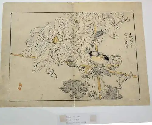 Aquarell -Federzeichnung,Kono Bairei 1844-1894, Chrysanthemenbusch