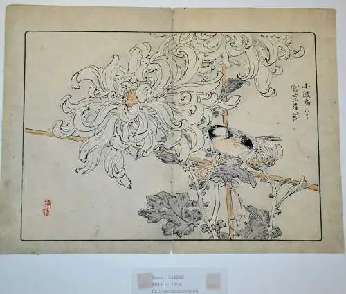 Aquarell -Federzeichnung,Kono Bairei 1844-1894, Chrysanthemenbusch