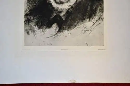 Menzel, Adolph von, 8.12.1815 - 9.2.1905, Portrait, Kupferstich K. Stauffer