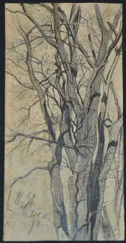 Bleistiftzeichnung,Hans Stadelmann,kahler Baum, Dez.1898