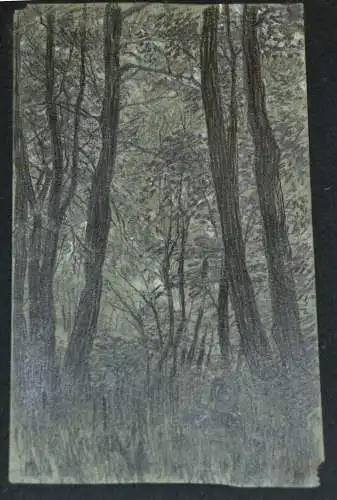 Bleistift-Buntstift-zeichnung,Hans Stadelmann,Waldlichtung