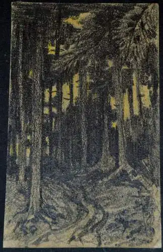 Bleistiftzeichnung,Hans Stadelmann,1906, Waldlichtung