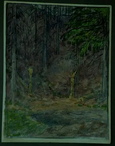 Bleistiftzeichnung,Hans Stadelmann,1945, Waldlichtung