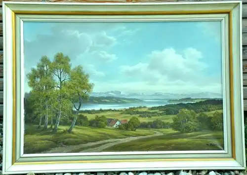 Gemälde, Öl auf Leinwand, Landschaft, Blick a.d. Starnbergersee,sign.Hans Dürr