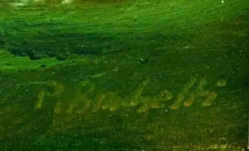 Aquarell, Chiemsee, sign. : Paul Brachetti, im Passepartout,gerahmt