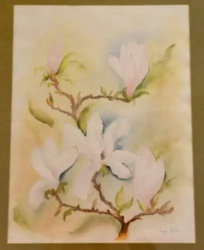 Aquarell,Magnolien, sign. Inge Huber,20.Jhdt. Nielsen Wechselrahmen