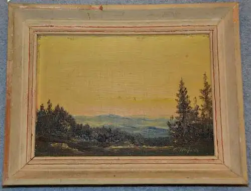 Gemälde,Landschaft mit Blick aufs Gebirge,gerahmt,signiert: F.Weiss 54