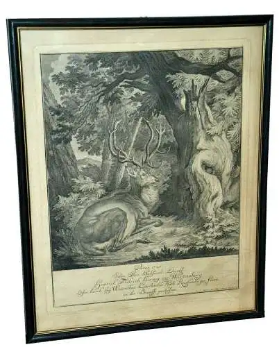 Radierung, Ridinger, Hirsch erlegt"d. Herzog zu Württemberg,gerahmt,um 1720