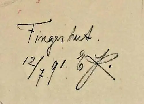 Bleistiftzeichnung „Fingerhut“ im Passepartout, monogrammiert „E. K.“, 1891