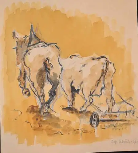 Aquarell Ulrich, Pferd und Kuh beim ackern, 1961