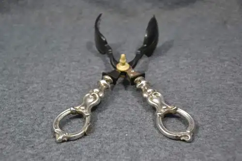 Salatzange,Griffe aus Silber,Greifarme Horn,1860, 