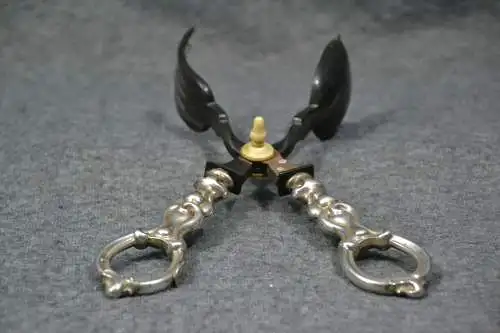 Salatzange,Griffe aus Silber,Greifarme Horn,1860, 