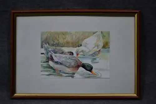 Aquarell, Enten, gerahmt und verglast