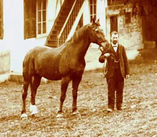 Fotografie,Bauernhof, Alpenvorland,um 1900