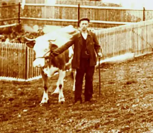 Fotografie,Bauernhof, Alpenvorland,um 1900