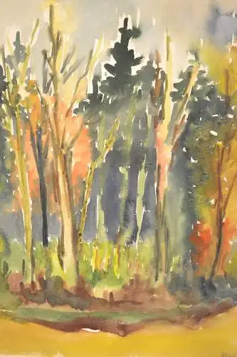 Aquarell,Ulrich,Herbst Wald Impression,1965