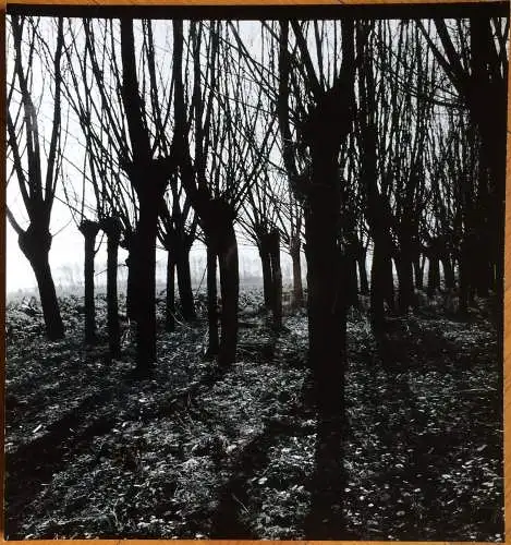 Photographie „Landschaftsaufnahme subjektiv“ von Heidrun Reindl-Keller Mai 1968