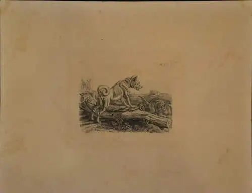 Kupferstich,Hund und Katze, Monogramiert : A.K. f.1832