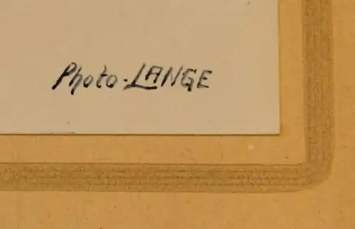 Fotografie, Suleika ,Perd, Foto Lange 1926