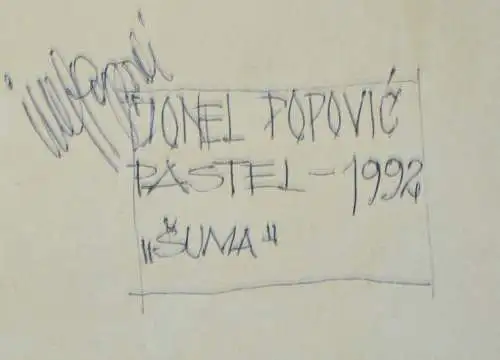 Jonel Popovic,Pastellkreide,1992,gerahmt