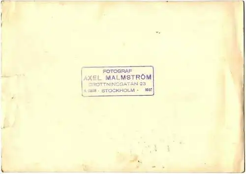 Original-Photographie von Axel Malmström: Szene in einem Pferdestall 