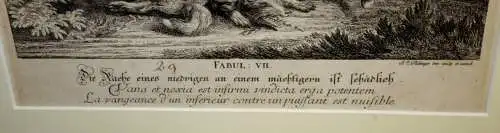 Grafik,Kupferstich,Ridinger,1744,Elefant+Füchse