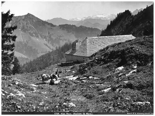 Fotografie,Alpe Naye,Wehrli A.-G.,Kilchberg Zürich