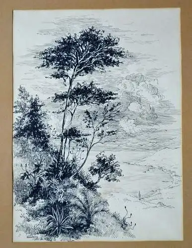 Tuschezeichnung, Original, Madeira,Landschaft, sign. Uhl 1953