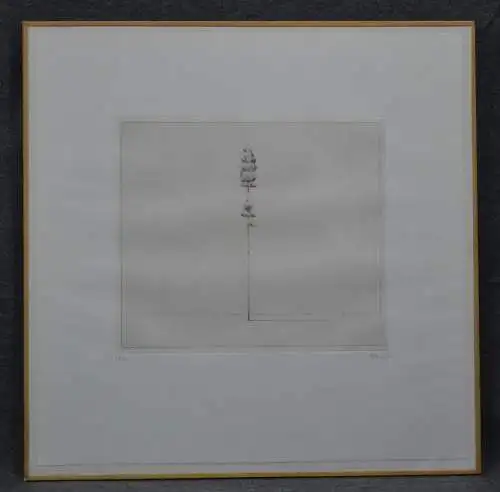 Radierung, Baum allein, Hansmartin Erhardt, 1971, 18 von 50