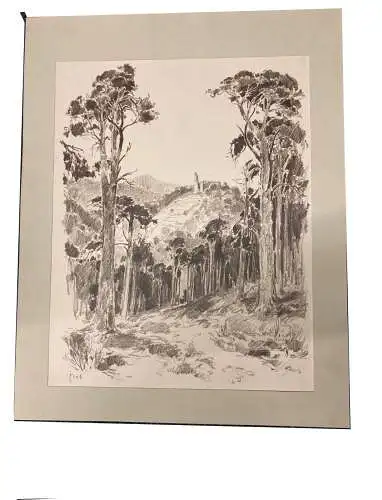 Mischtechnik, Bleistift und schwarze Ölkreide,,sign. Graf, Maxburg,