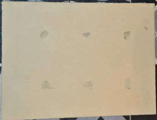Bleistiftzeichnung,koloriert,sign. Sulamit Wülfing ,Mitte 20. Jhdt.