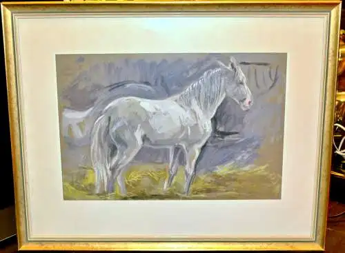 Tempera,weiß gehöht,Schimmel,sign :J.Moritz (Johanna Moritz-Hohmann)1954,gerahmt