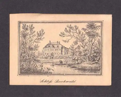 Lithografie,Schloss Buchwald,frühes 19.Jhdt,)seltene Darstellung