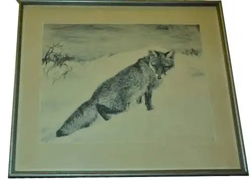 Grafik, Meyer-Eberhardt, Fuchs, Kaltnadelfarbradierungen, gerahmt