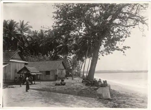Originalphotographie Kleine Siedlung an Strand von Bali, ca. 1905
