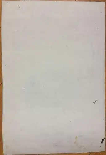 Kohlezeichnung - Skizze Portrait einer Frau mit Hut